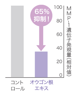65%もコラーゲンの分解を抑制できます。